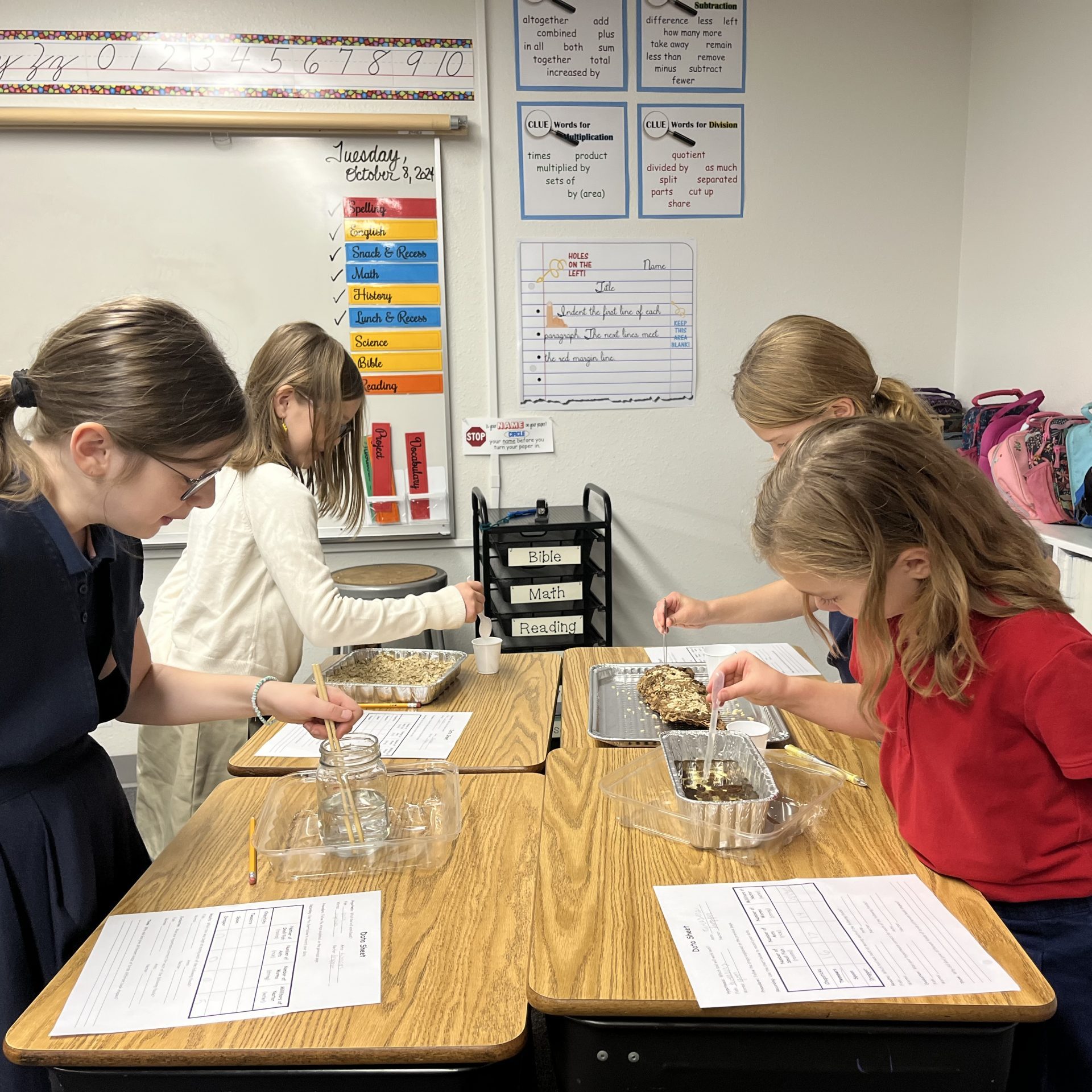 4th Bird Beak Investigation 4